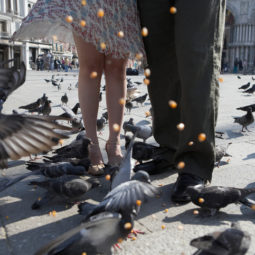 Italy, Venice, couple feeding pigeons in square, low section