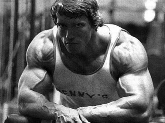 Http://buildthatmuscle.com/arnold schwarzenegger and body building/