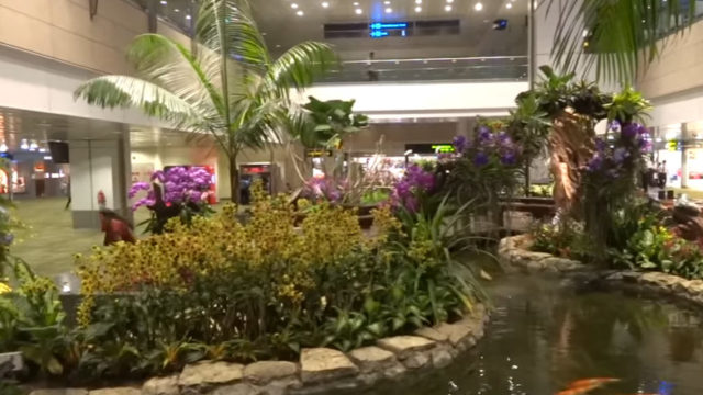 Letisko_changi_singapur.jpg