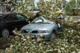 A Strong Wind Broke A Tree That Fell On A Car Parked Nearby