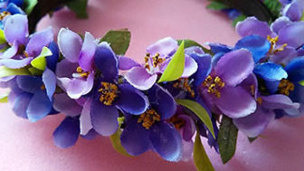 Images_rady_0051_rada_0051