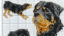Images_rady_0457_Bez názvu 2
