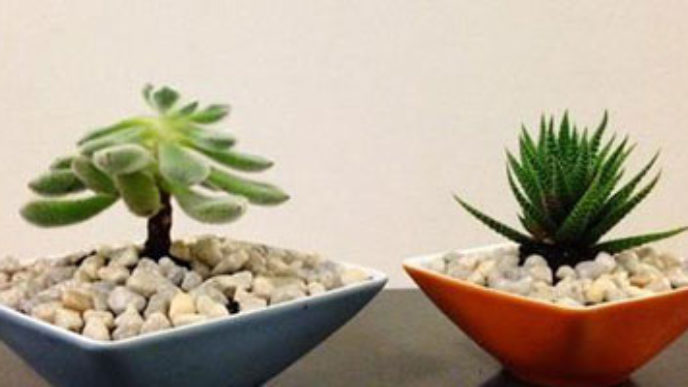 Obrázky_rady_0471_Untitled 2__renewed