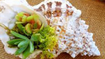 Images_rady_1045_Untitled 2