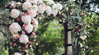 Images_rady_1054_Untitled 2