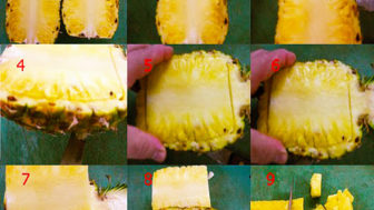 Ananas10
