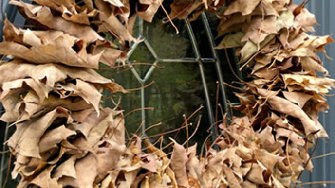 Images_rady_1713_Untitled 2