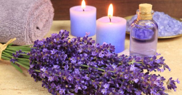18 amazing healing powers of fragrant lavender oil.jpg