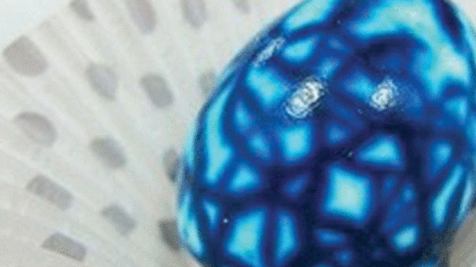 Bez názvu 1 15.gif