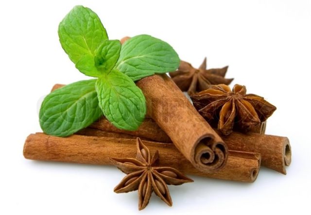 2789671 sticks of cinnamon with mint and aniseon a white background.jpg
