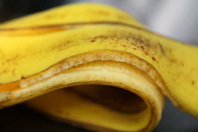 Banana peel1.jpg