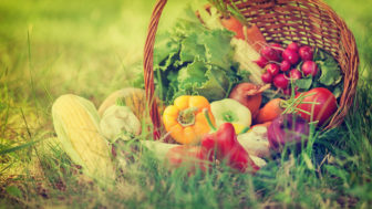 Basket With Fresh Organic Vegetables