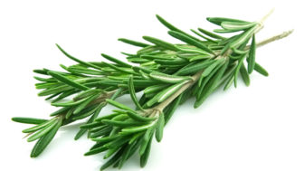 Rosemary.jpg