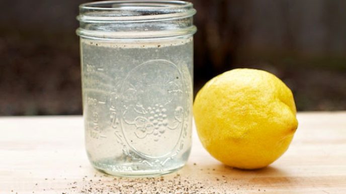 Černý pepř a citronová šťáva.jpg