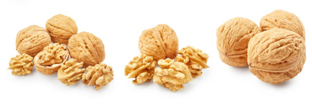 Set of walnuts