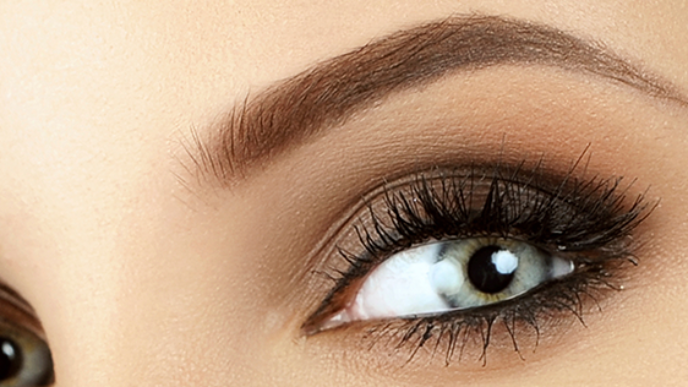 Brows banner.png