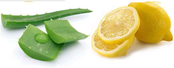 Lemon alovera.jpg