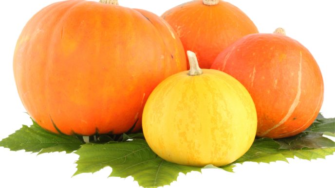 Pumpkin_png9385.png