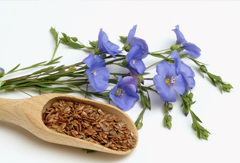 Photolibrary_rm_photo_of_flax_seeds_and_flowers.jpg