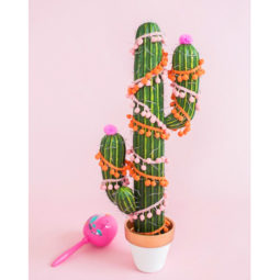 Preview_holiday cactus.jpg