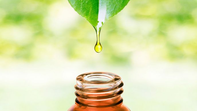 Tea tree oil1.jpg