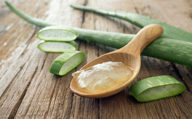 Aloe vera gel on wooden spoon 1.jpg