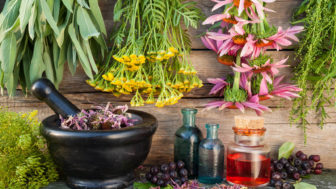 Agrimonyherbal medicine amelia organics.jpg