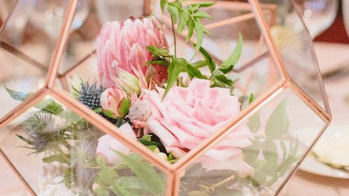 Untitled 1 obnoven obnoven obnoven obnoven obnoven obnoven obnoven obnoven obnoven obnoven obnoven obnoven obnoven obnoven obnoven obnoven obnoven obnoven obnoven obnoven obnoven.gif