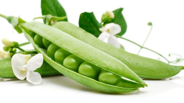 Peas beans nature smell.jpg