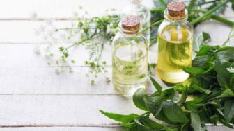 Essential oil bottles on a table mint.jpg