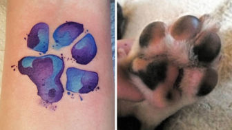 Pet paws tattoos 300 59b8dd94dc84e__700.jpg