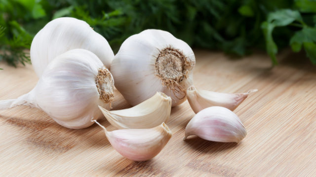 Garlic bulbs850.jpg