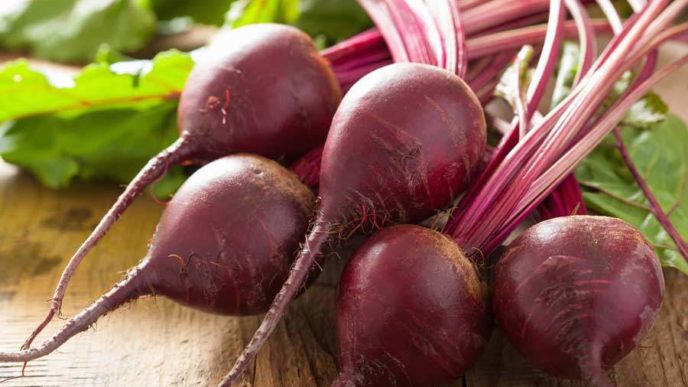Jesmond fruit barn stylizovaný baby beetroot.jpg