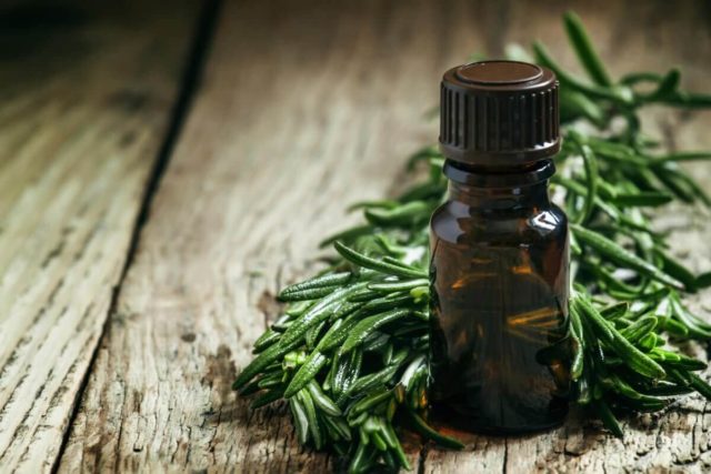 25 uses for tea tree oil keeper of the home feat.jpeg