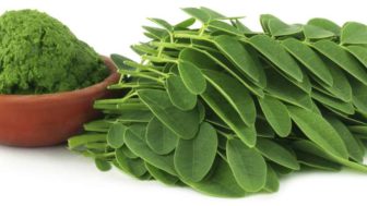 Moringa mbq6ytqavhsqlpmk8mcg19885nahpm89n1frau46uc.jpg