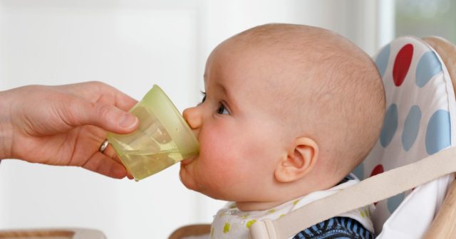 Baby drinking water.jpg