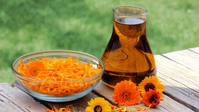 Calendula your_skincare_routine.jpg