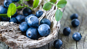 2369675 img boruvky antioxidanty jidlo hubnuti v0.jpg