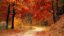 Fall 1072821_960_720.jpg