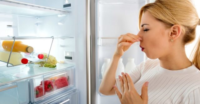 Remove bad odors from fridge get rid of fridge smells 1024x536.jpg