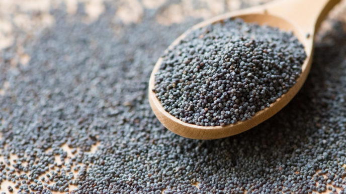 Wooden spoon with poppy seeds, close up