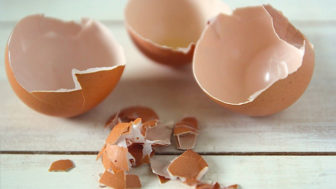 Eggshells.jpg
