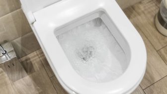 Bigstock white toilet bowl in a bathroo 265919803.jpg