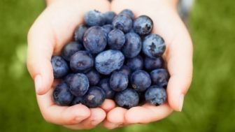 Handful of blueberries 1502 751x426.jpg