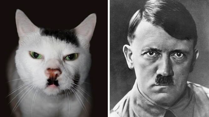 Snímek obrazovky 2019 05 08 08 v 20.55.35 pm 1.png