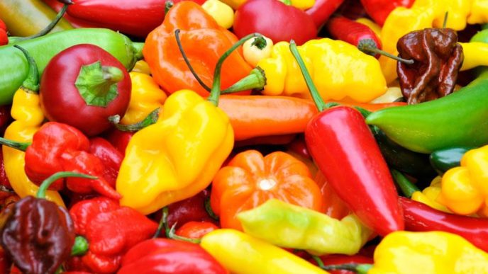Bounty super pálivé papriky pepper joes.jpg