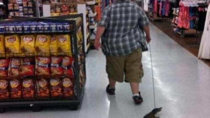 45 epic photos that could happen only at walmart trending dirt 22.jpg
