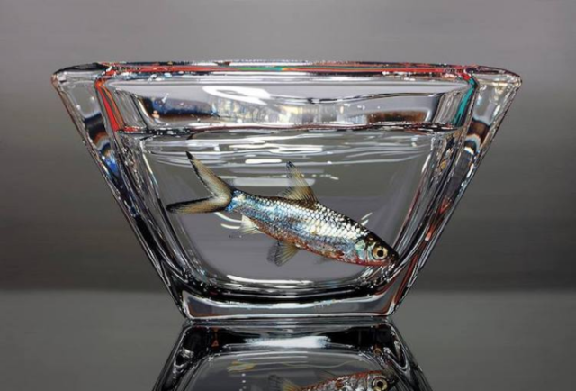 Fish in bowl young sung kim hyperrealism.png
