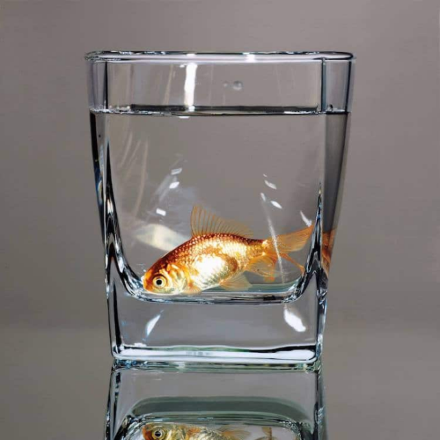 Fish in water glass young sung kim hyperrealism.png
