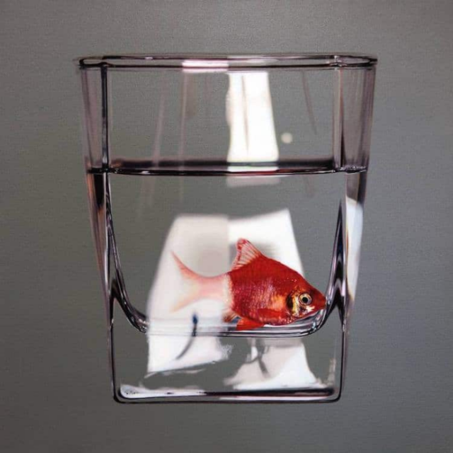 Fish realistic in glass young sung kim hyperrealism.png